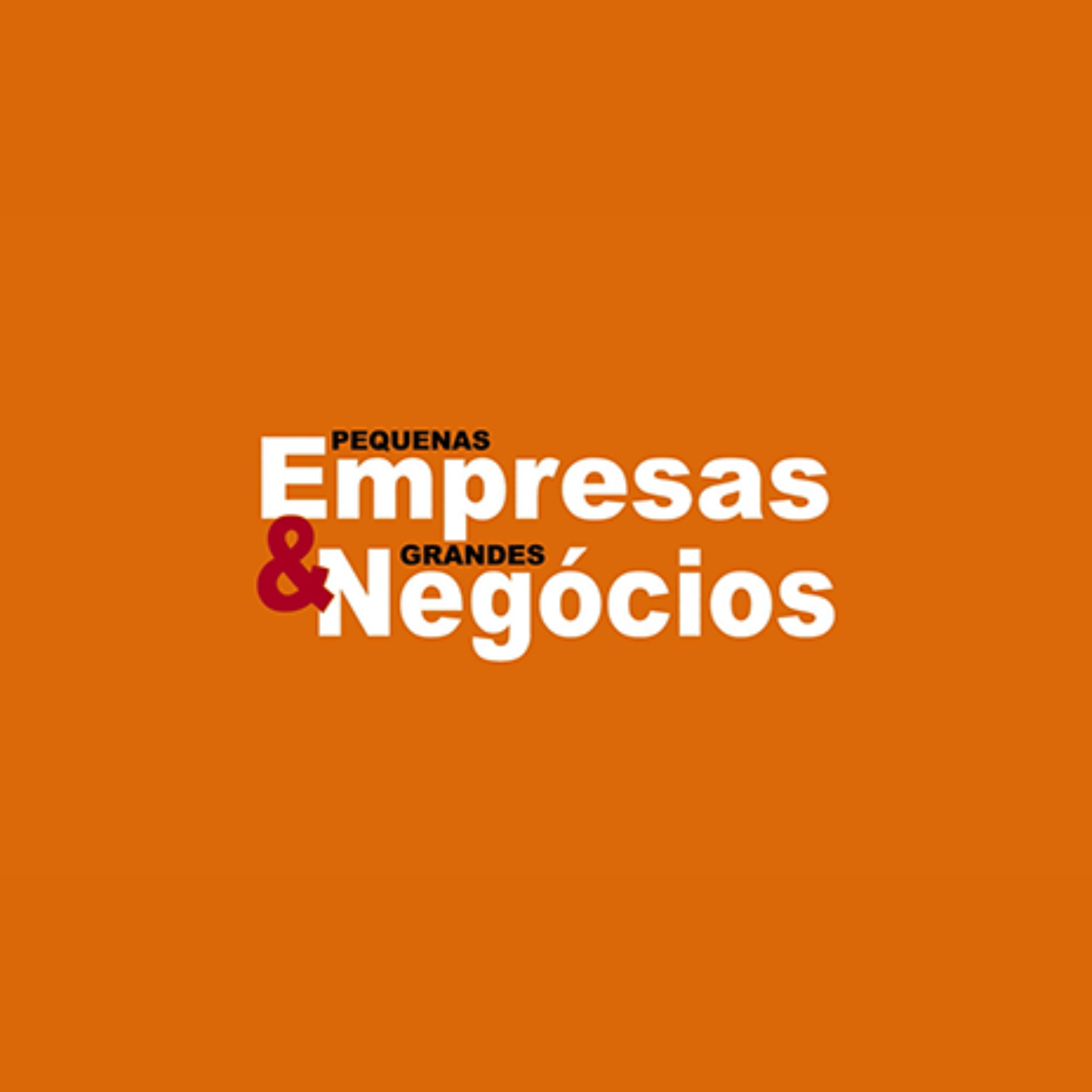 Pequenas Empresas & Grandes Negócios